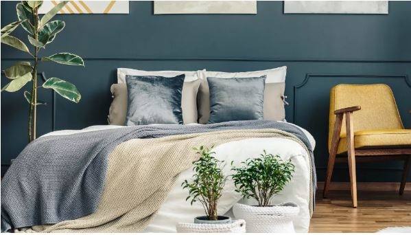 phong-ngu-JPG-4155-1660899322